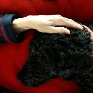 Meet your Posher, Beth